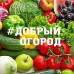 #������ ������-2023: ����� ������