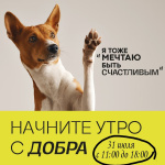 ������� ����������� � �������! ������ ��������!